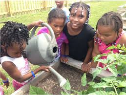 watering gardens